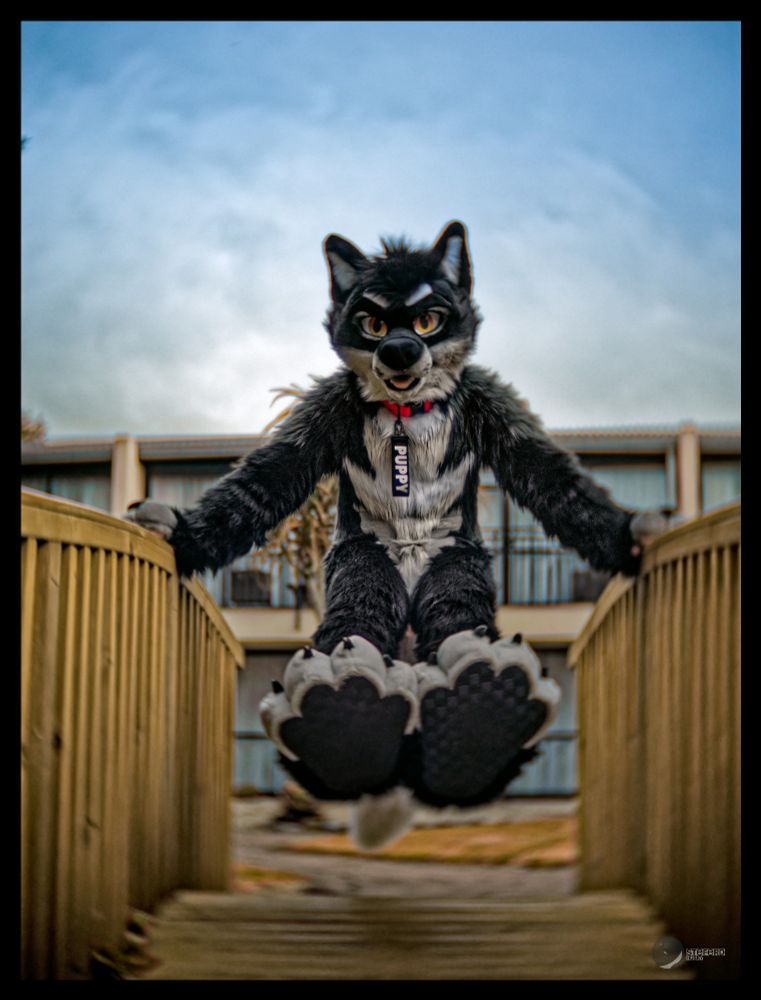 The photo shows a wolfdog fursuit character with black, grey and white fur, perched mid-air on a wooden bridge railing. The suit features large, detailed paw pads prominently displayed in the foreground. The character wears a tag reading "PUPPY" on its orange collar, and the background includes a building with balconies under a cloudy sky, creating a dynamic and playful scene.
