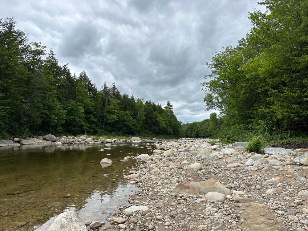 View of cobble-gravel river and trees