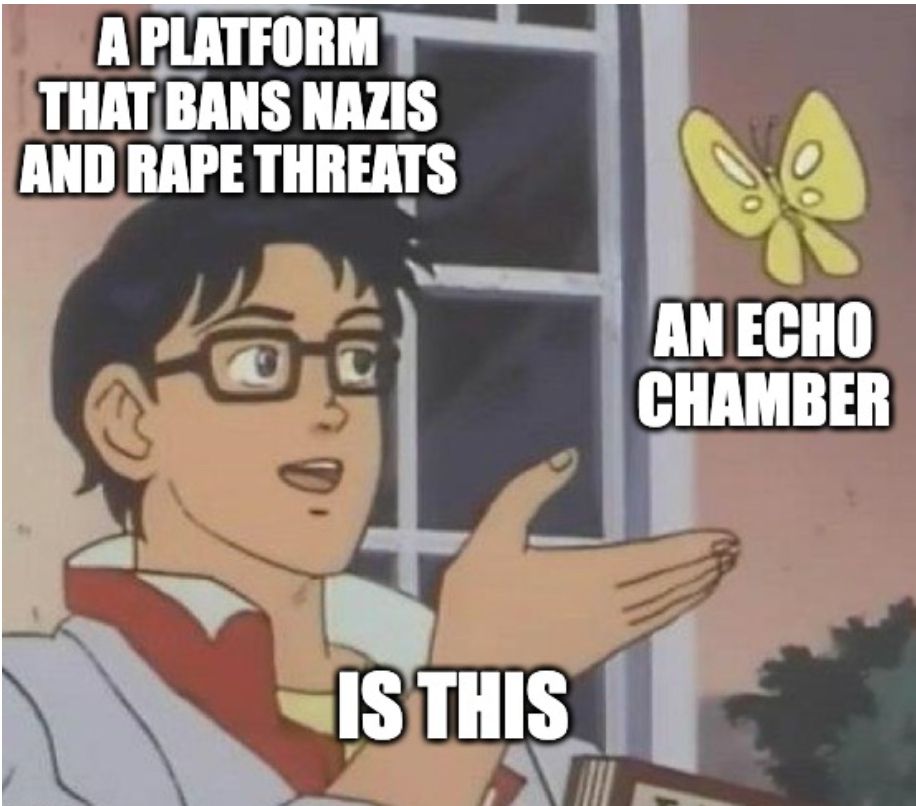 A version of the "is this a butterfly" meme making fun of people who conflate barring nazis and rape threats with being an echo chamber