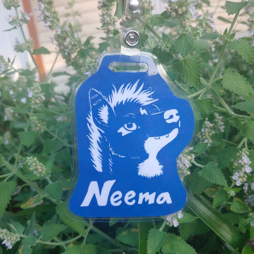 A cyanotype (a white and blue print) badge of a striped hyena named Neema