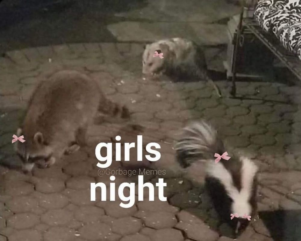 "girls night" and it's a raccoon, a possum, and a skunk, w/ pink bow emojis on them