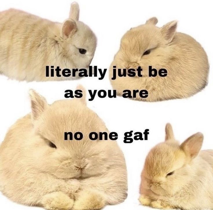 "Literally just be as your are / no one gaf"