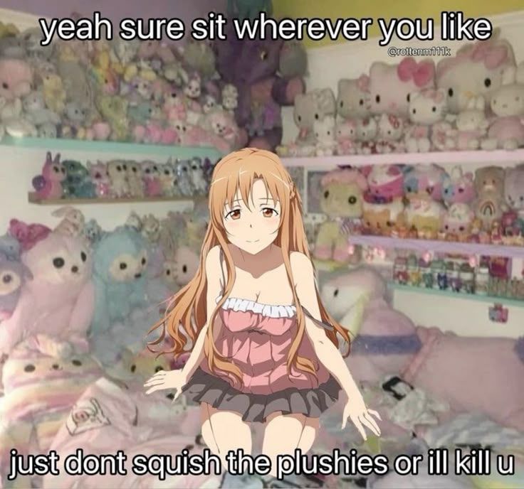yeah sure sit whereveryou like just don't squish the plushies or ill kill u