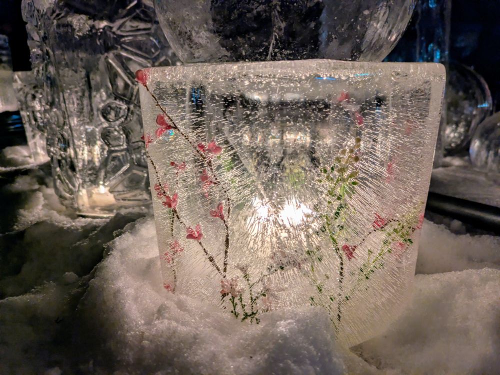 A luminary made of ice with pink flowers inside