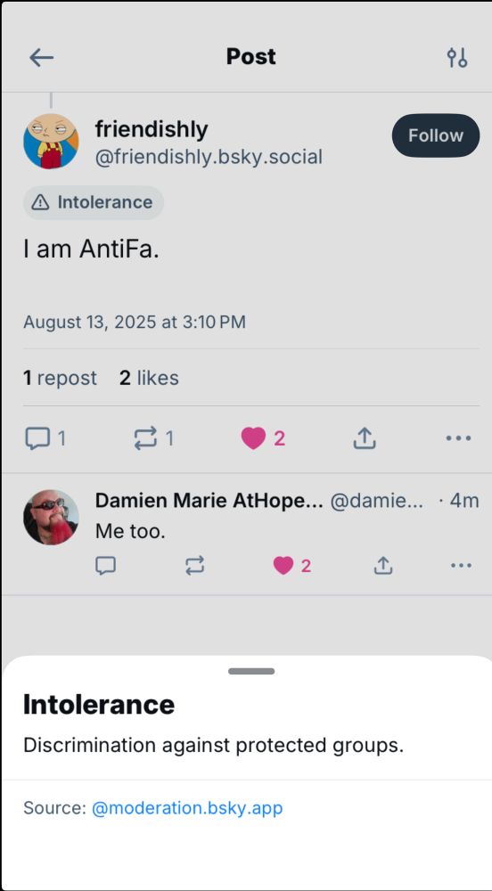 Screenshot of Bluesky moderation labeling AntiFa as “intolerant”. 