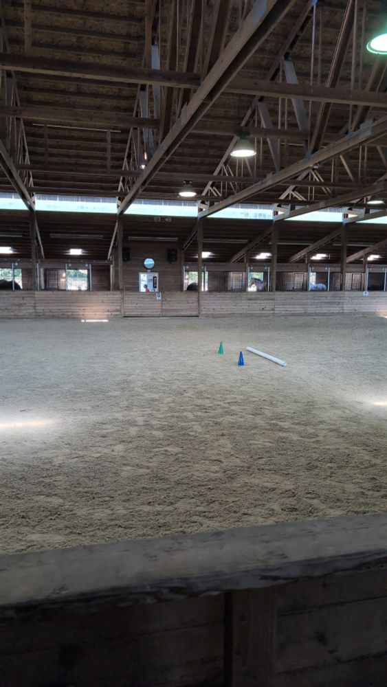 Horse riding ring 