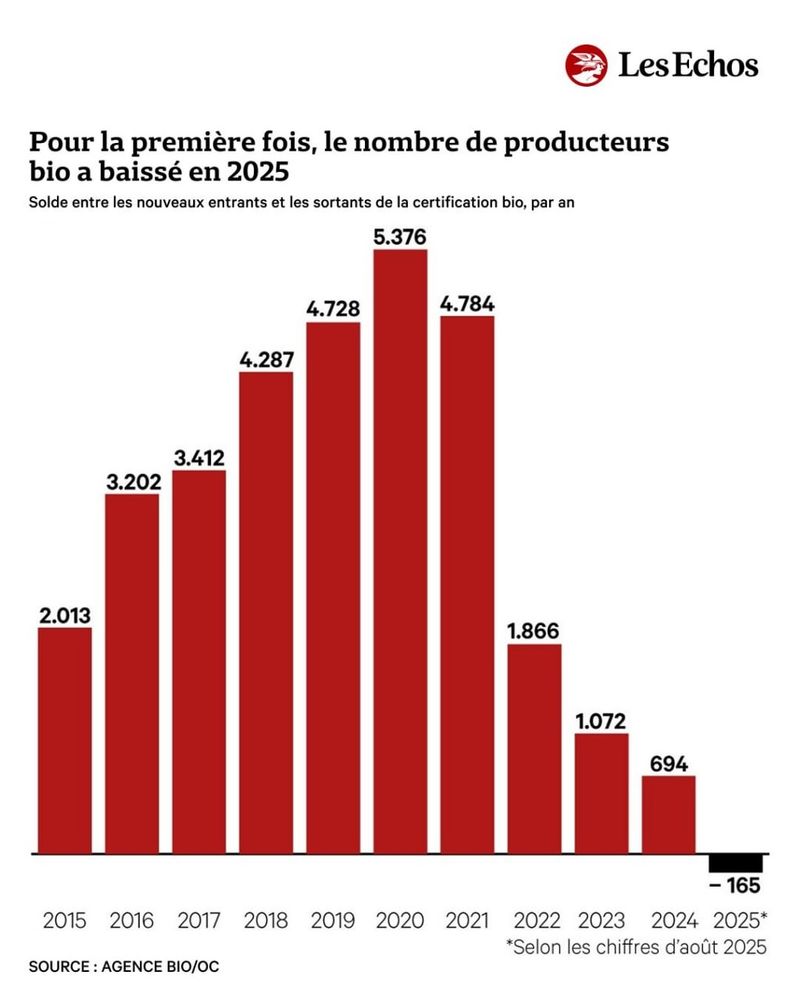 Pour la première fois, le nombre de producteurs bio a baissé en 2025