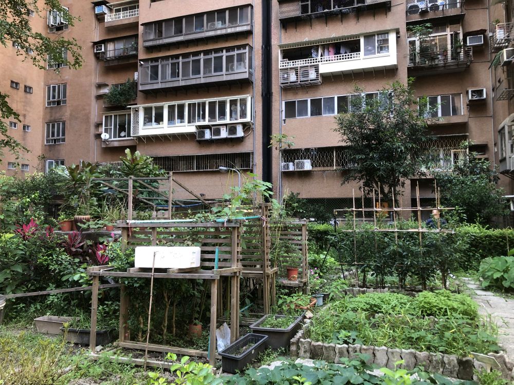 A community garden, with plants growing fruits and vegetables, occupies a corner of a courtyard in front of high-rise housing.