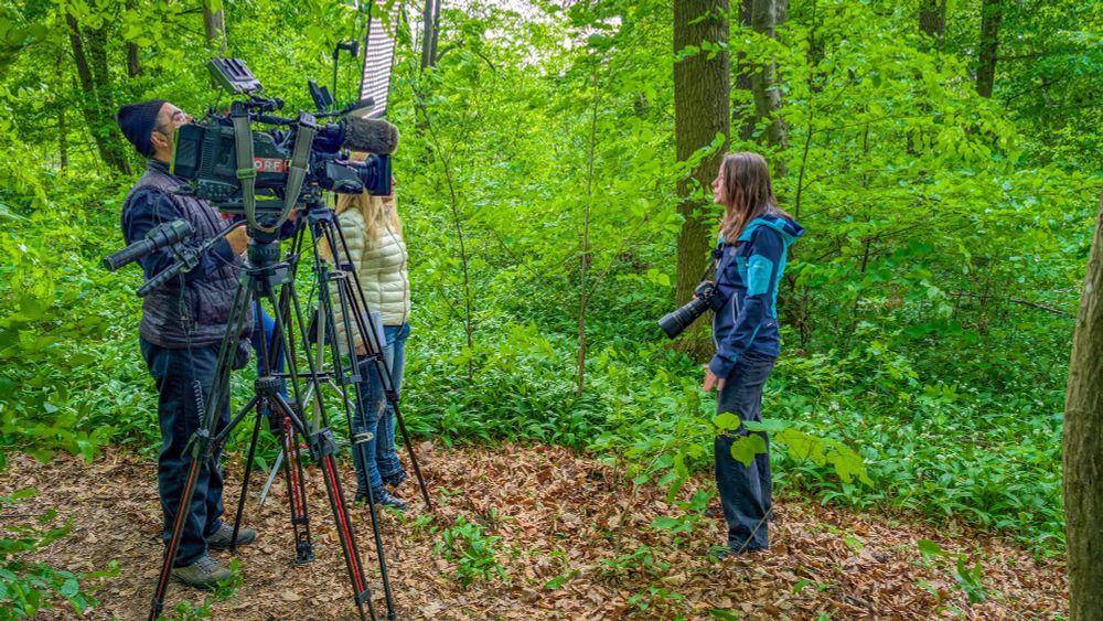 Researcher Marie-Therese Fischer in the woods with the film team of ORF Mayrs Magazin. 
Credit: Stephanie Scholz/CeMESS