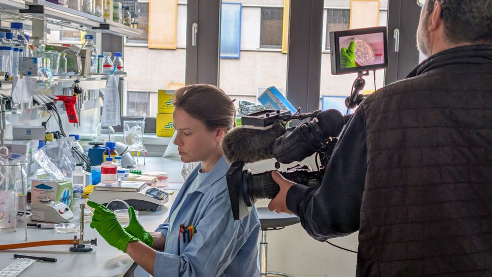Researcher Marie-Therese Fischer in the lab at CeMESS (Centre for Microbiology and Environmental Systems Science) with the film team of ORF Mayrs Magazin. 
Credit: Stephanie Scholz/CeMESS