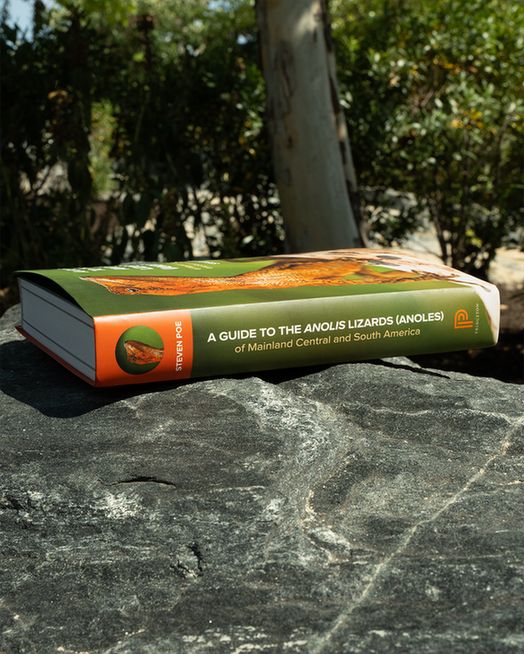 Spine of A Guide to the Anolis Lizards (Anoles) of Mainland Central and South America by Steven Poe