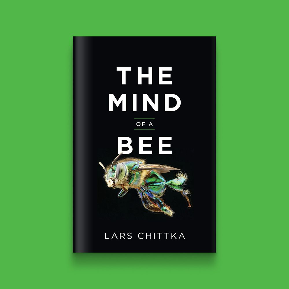 The Mind of a Bee
Lars Chittka
A rich and surprising exploration of the intelligence of bees