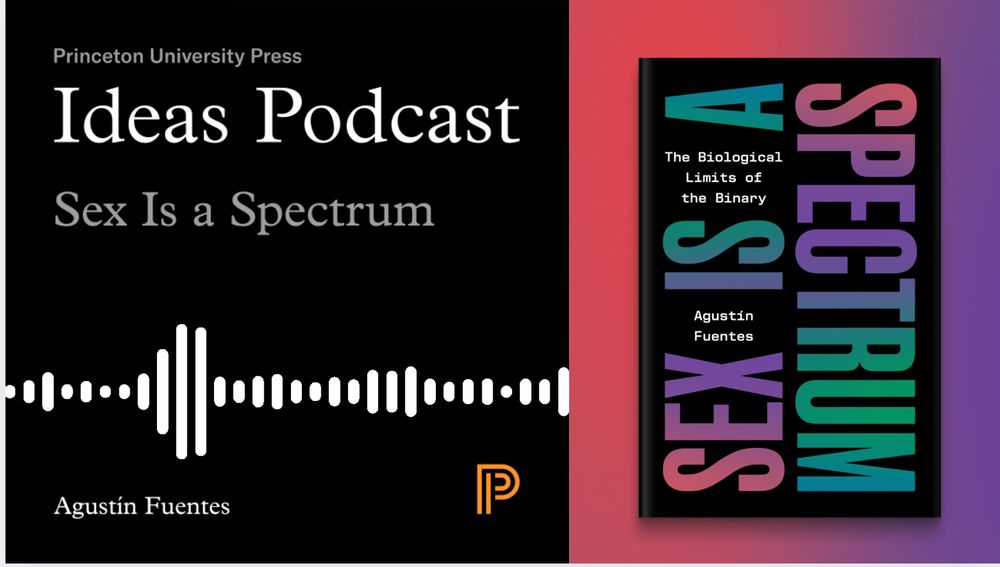 Listen to the Ideas Podcast with Agustín Fuentes, author of Sex is a Spectrum, and Caleb Zakarin, New Books Network editor, and learn more about the biological limits of the the binary.
