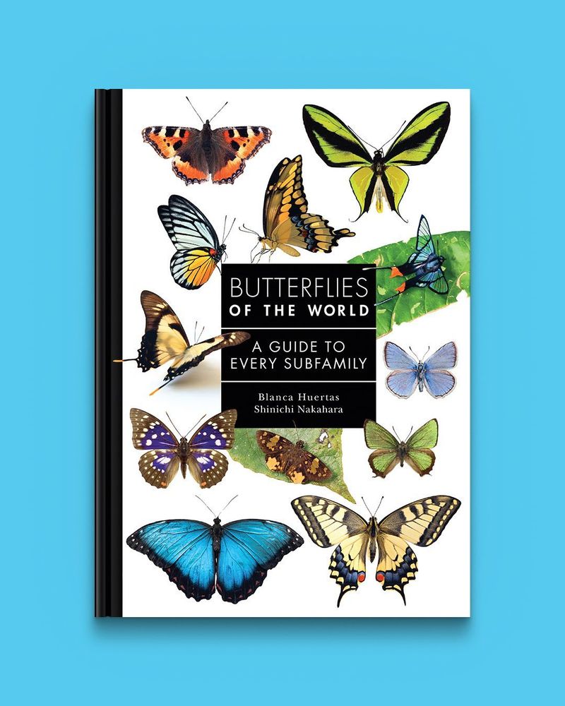 Butterflies of the World: A Guide to Every Subfamily by Blanca Huertas and Shinichi Nakahara