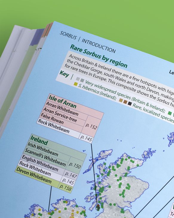 Photograph of Trees of Britain and Ireland, page spread