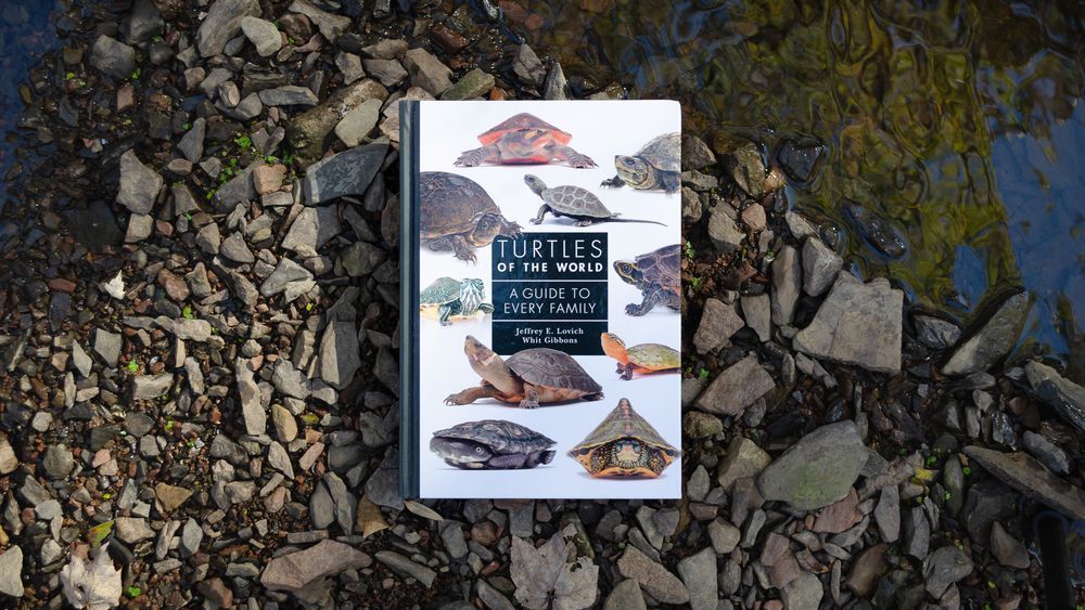 Turtles of the World: A Guide to Every Family