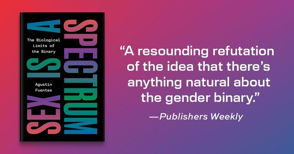 "A resounding refutation of the idea that there's anything natural about the gender binary." --Publisher's Weekly
