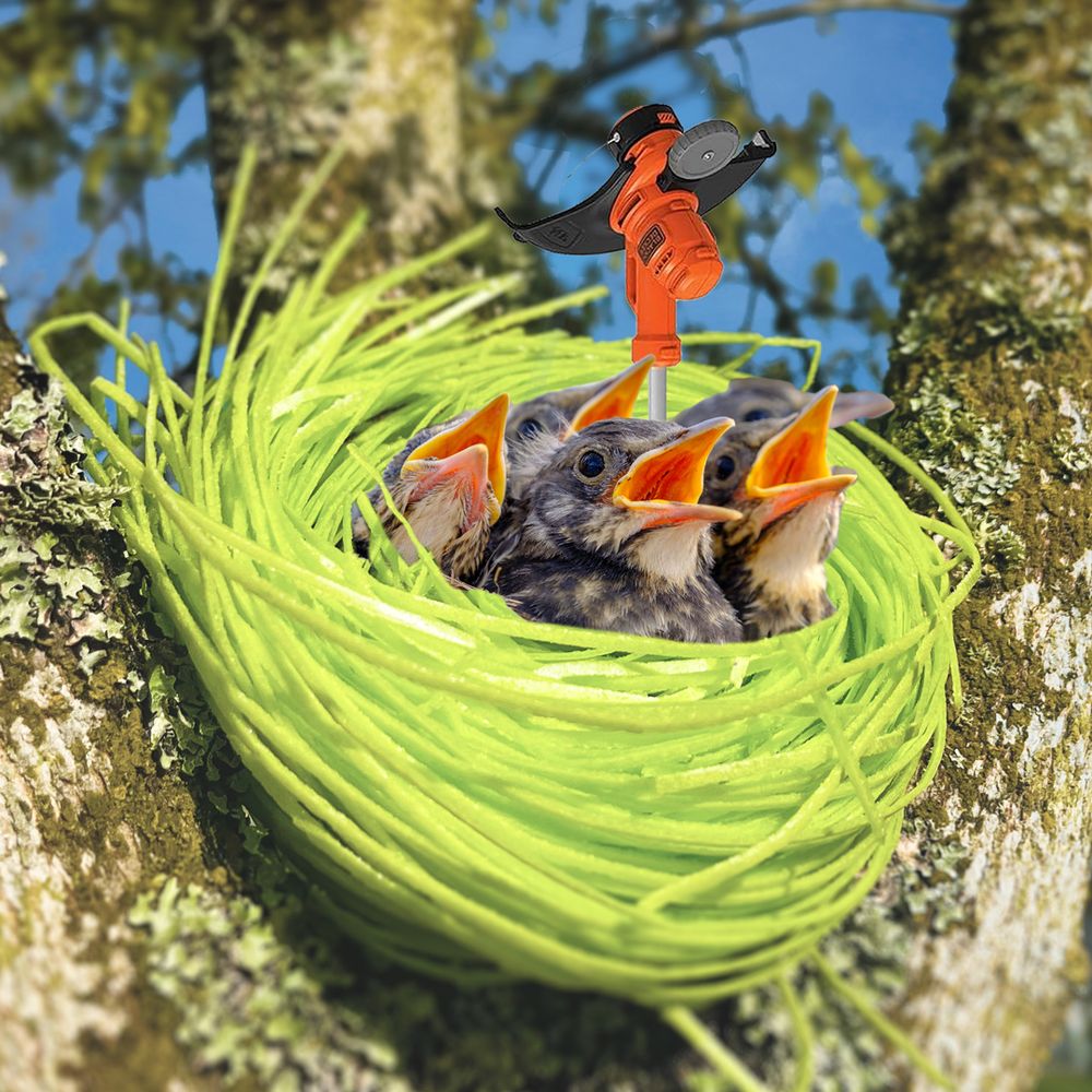 Three birds and their weedeater sibling hatch out of the nasty edible easter grass that looks like weedeater thread