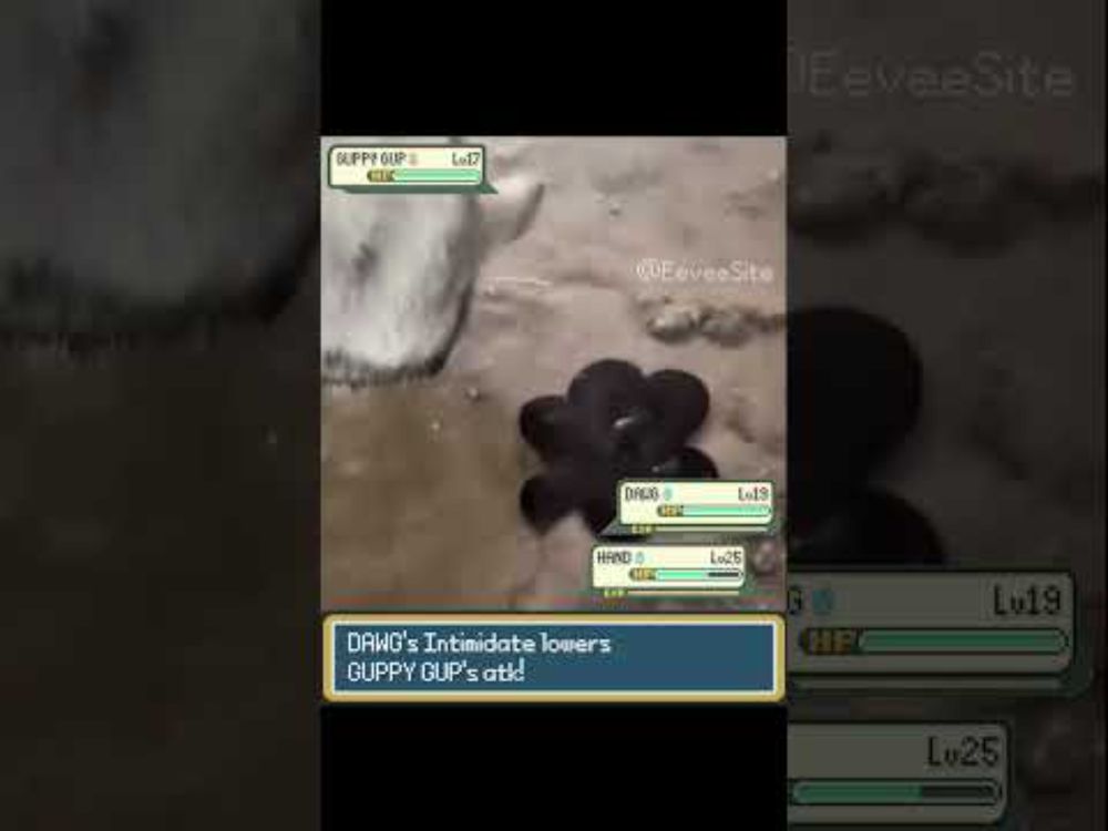 A Strange Wild pokemon has appeared!! #pokemon #pokemonmeme #funnydogs #pokemonbattle #irlpokemon