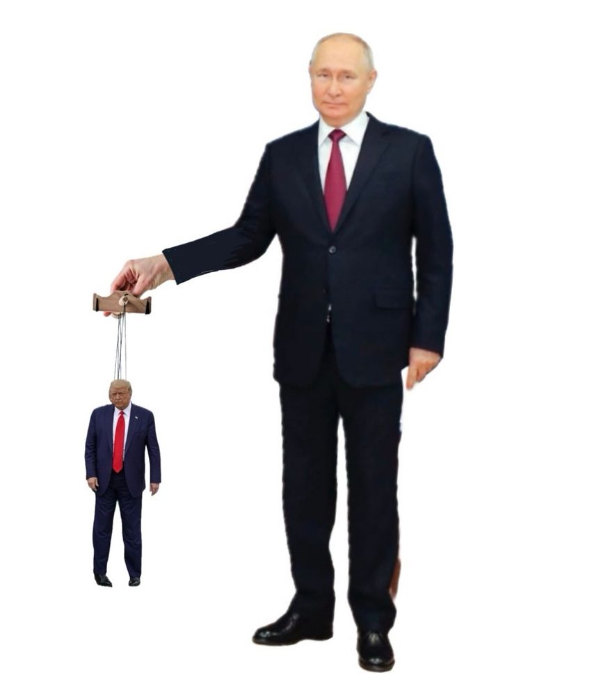 Comment image