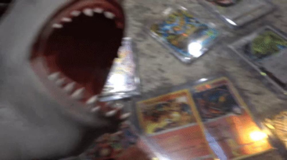 a close up of a shark 's mouth surrounded by cards