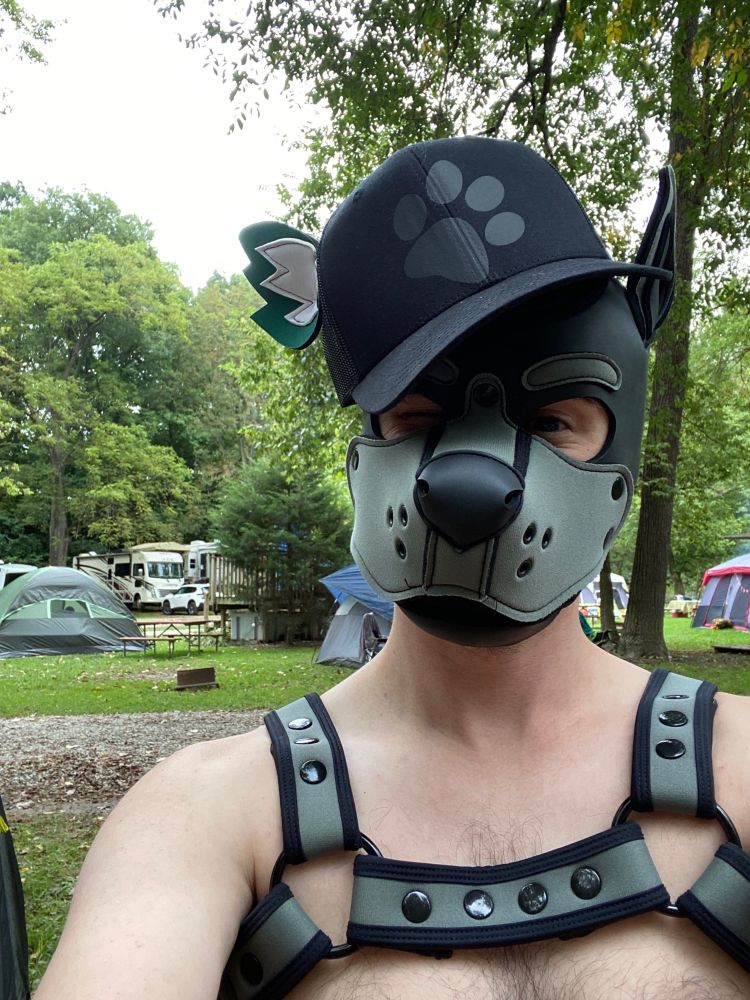 Pup Echo shirtless with a grey harness, his pup hood and a ball cap with more dog ears worn half on. He is out in a campground.