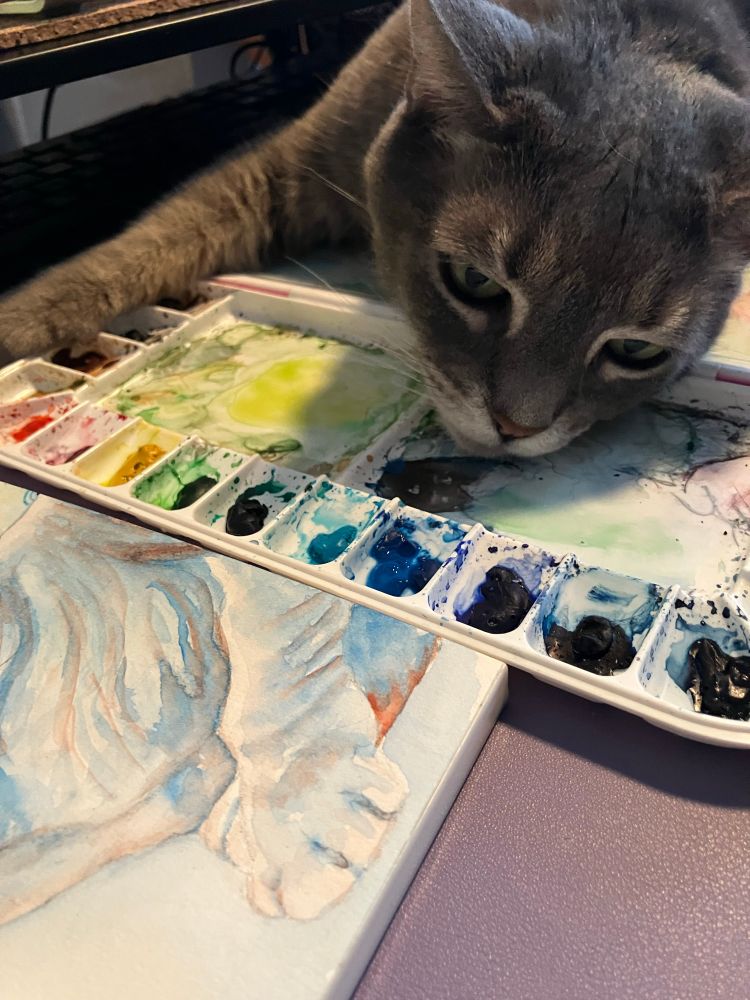 A grey tabby is basically hugging a watercolor palette, resting her chin on the surface.