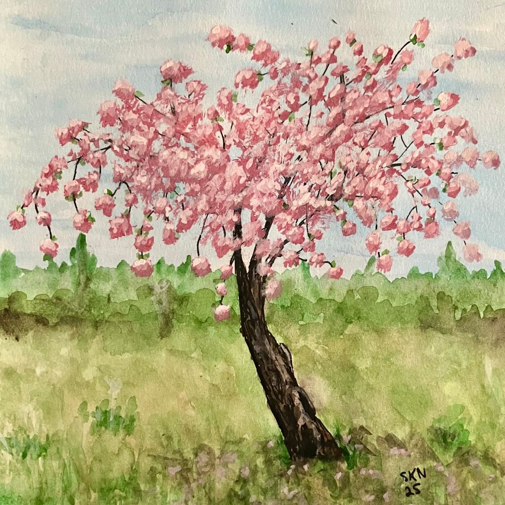 Watercolor painting of a single Kwanzan cherry tree in a field.