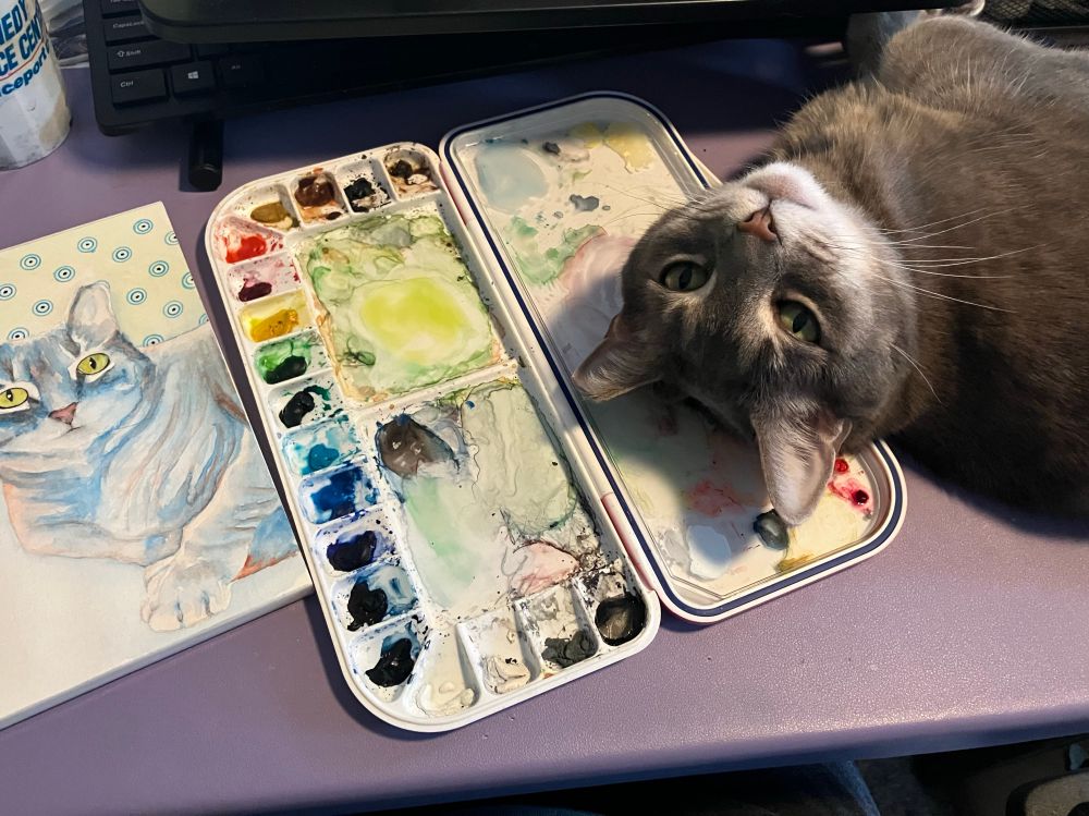 A grey tabby lays her head across a watercolor palette 