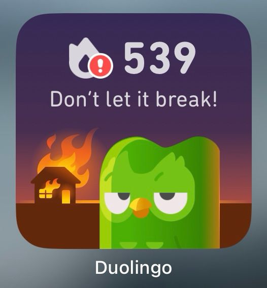An owl from Duolingo posing in front of the burning building with caption “Don’t let it break”