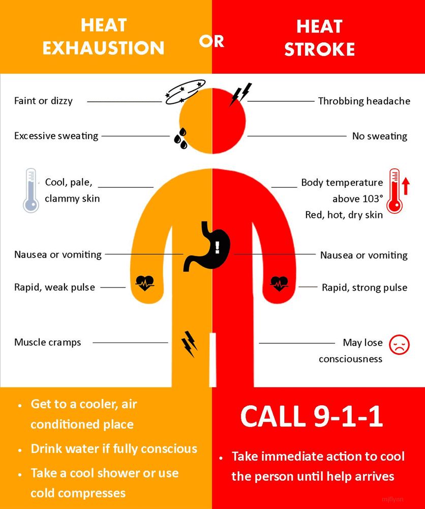 Infographic describing the difference between heat exhaustion and heat stroke.

Heat Exhaustion
- Faint or dizzy
- Excessive sweating
- Cool, pale, clammy skin
- Nausea or vomiting
- Rapid, weak pulse
- Muscle cramps
- Get to a cooler, air conditioned place

Heat Stroke
- Throbbing headache
- No sweating
- Body temperature above 103
- Red, hot, dry skin
- Nausea or vomiting
- Rapid, strong pulse
- May lose consciousness
- CALL 911!