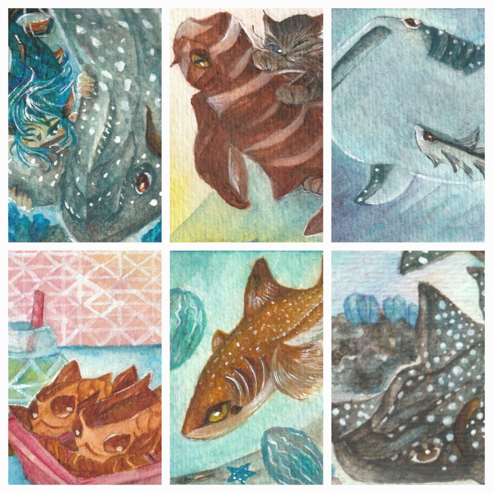 展示作品その2(さめエリア)