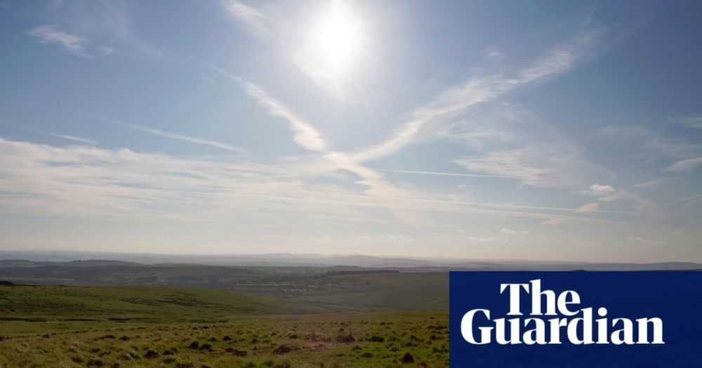 ‘The place is bleached, a dead zone’: how the UK’s most beloved landscapes became biodiversity deserts