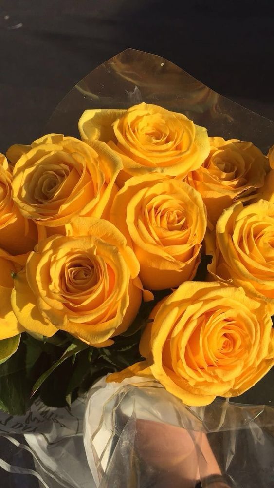 yellow roses