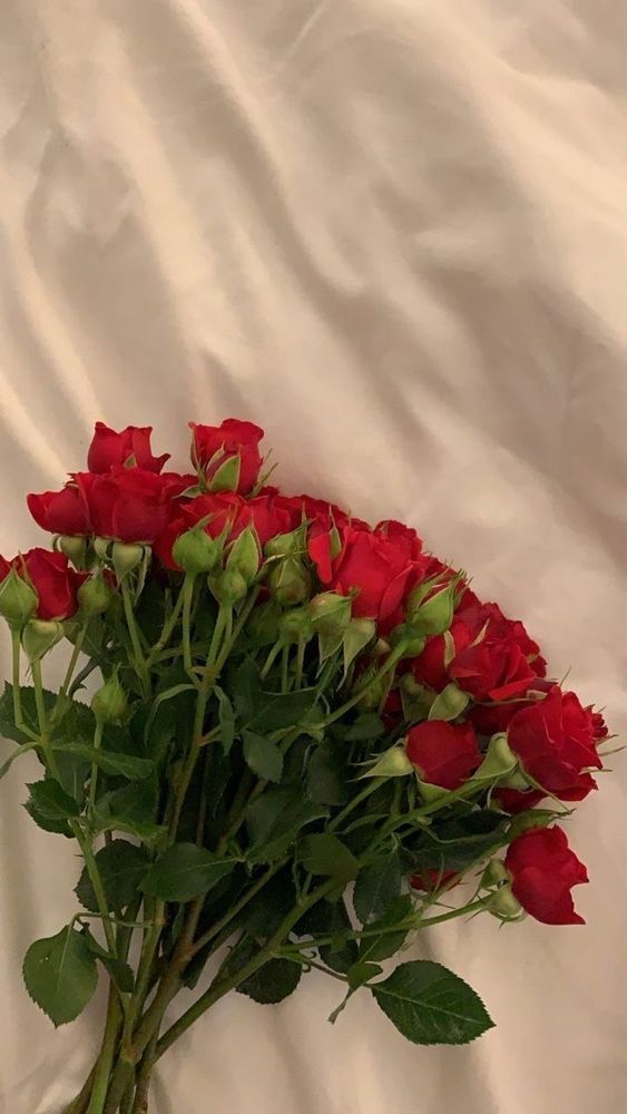 Red roses
