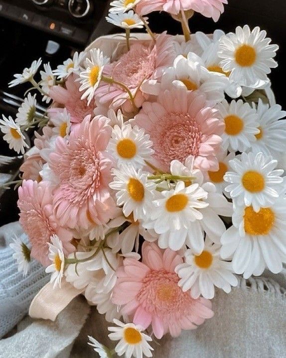 pink and white flowers