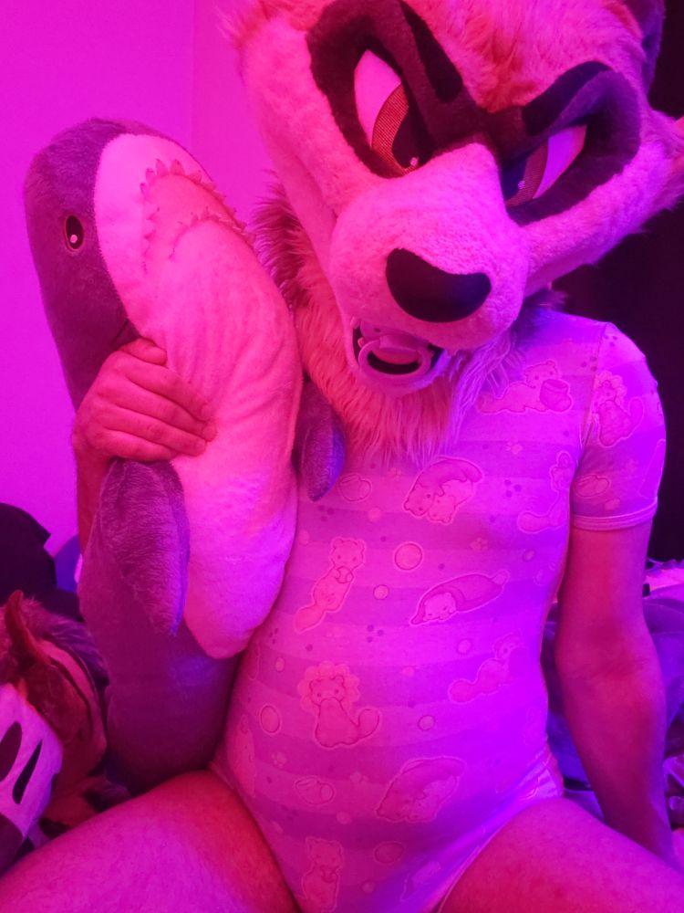 Ferret fursuiter is now upright, sucking on a pacifier and hugging a Blahaj! Viewer can see the design of the onesie better, lots of sweet ferrets scampering about.