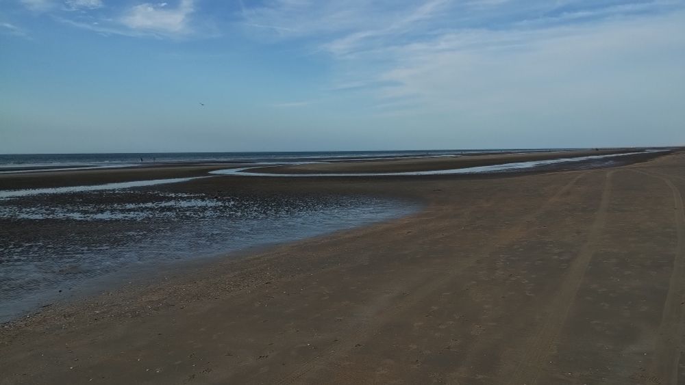 The beach