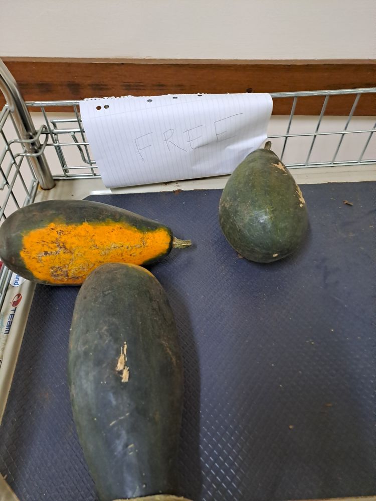 Three fat zucchinis lie ignored on a trolley outside the library with a hand written Free sign.