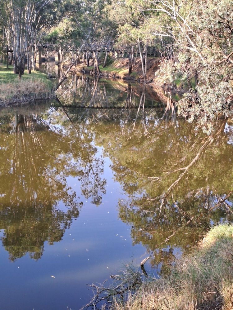 Tranquil eveming view along Avoca river.