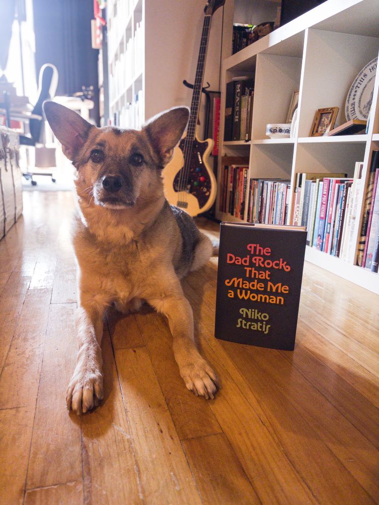 a brown and black dog on the left, Bowie, sitting on a wooden floor next to a book titled the dad rock that made me a woman by niko stratis 