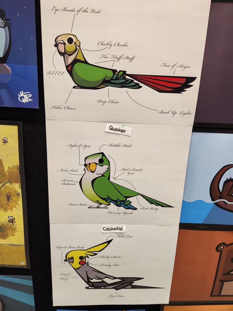 The anatomy of various birds