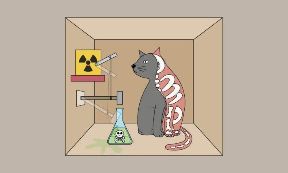 How Schrödinger’s Cat Got Famous