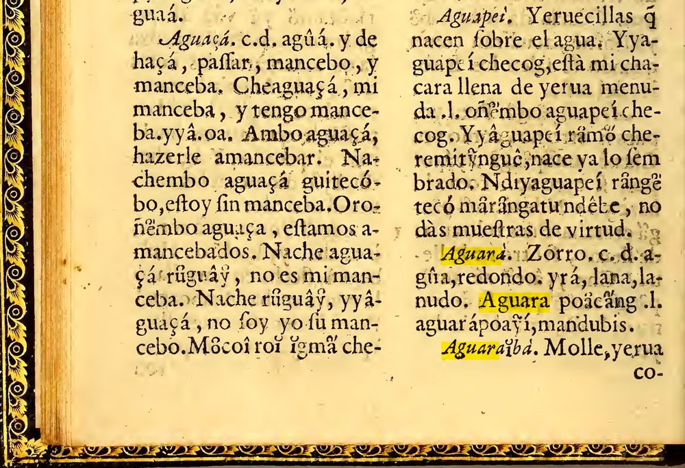 A photo of a Guarani dictionary from the 17th Century.