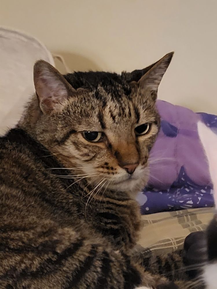 close up of walker's disapproving face