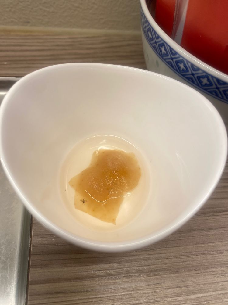 Död blomfluga i skål med äppelbitar och vatten och en droppe diskmedel. 