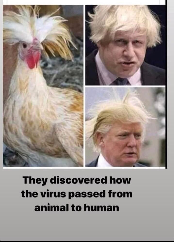 Comment image