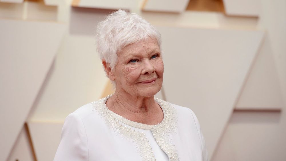 Judi Dench und John Cena leihen Meta-KI ihre Stimme