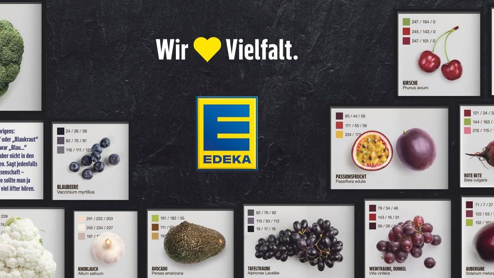 Landtagswahlen in Ostdeutschland: Edeka schaltet Anti-AfD-Anzeige