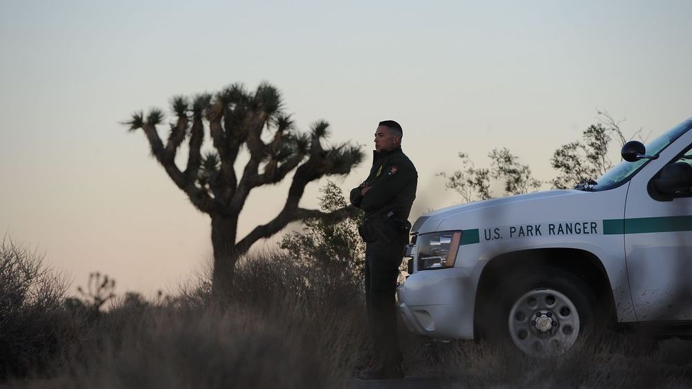 Kalifornien: Drei Deutsche sollen US-Nationalpark mit Paintballs verunstaltet haben